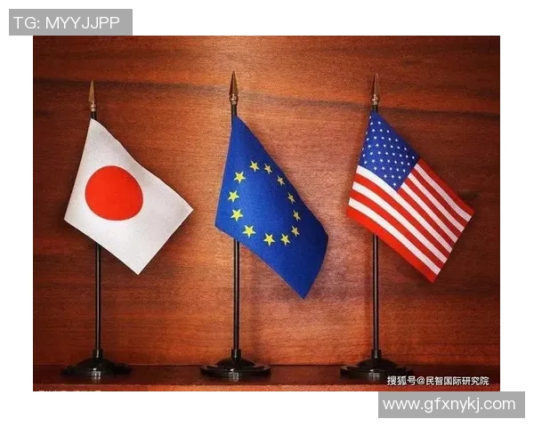 深圳排球队的力量变革引发热议全新战术与团队协作的崛起之路